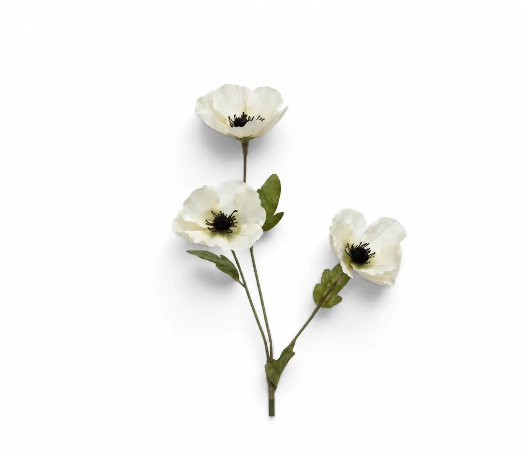 ba3183a1-dd46-463f-8cdd-20f843f134b5.webp