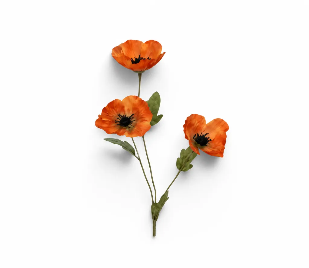 4831d84d-7fa9-430f-aff3-cbbec85d0870.webp