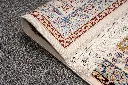 5263 (10).jpg.webp
