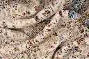 5263 (17).jpg.webp
