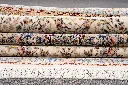 5263 (15).jpg.webp