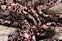 017.jpg.webp