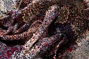5425 (17).jpg.webp