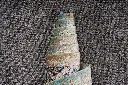 5442 (20).jpg.webp