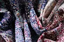 5421 (18).jpg.webp