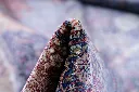 5421 (17).jpg.webp