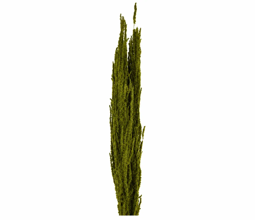 2f1a2bfe-da3d-4350-9a1c-99c76b4bdf0b.webp