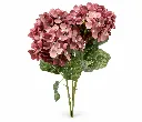 f252309f-5869-43bf-a258-eeadea8896ff.webp