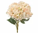 438bb03a-42e8-44de-9f09-7982d7d7da02.webp
