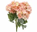 c32dc933-ce79-42c4-bf86-dd2c584ac2bb.webp