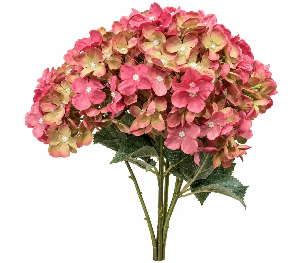 ee9288f3-2b50-46ae-8c4d-d22cd828b6c7.webp