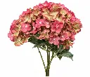 ee9288f3-2b50-46ae-8c4d-d22cd828b6c7.webp