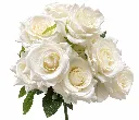 0cb45724-b67b-43ee-8977-56225483ab3f.webp