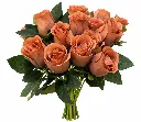 dbcdb9cc-3009-4ff5-bb08-9a5dee6c4a50.webp