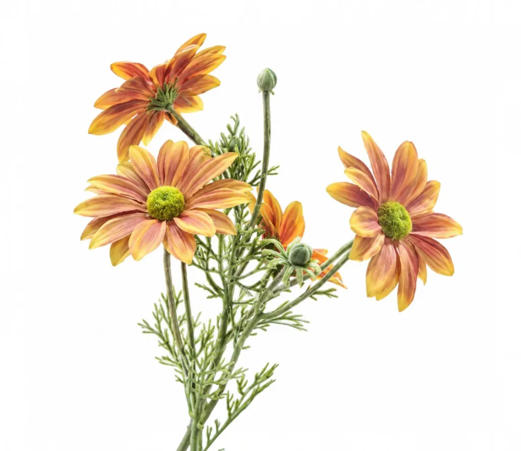 37ab706d-4cbd-4d46-bae3-333076ac33d8-resized-resized.webp