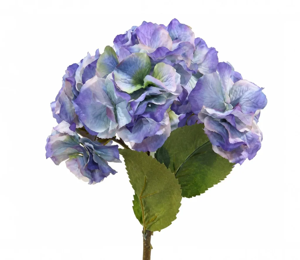 742ae22e-264d-484e-bbb8-69c516a8bc8b (1)-resized-resized.webp