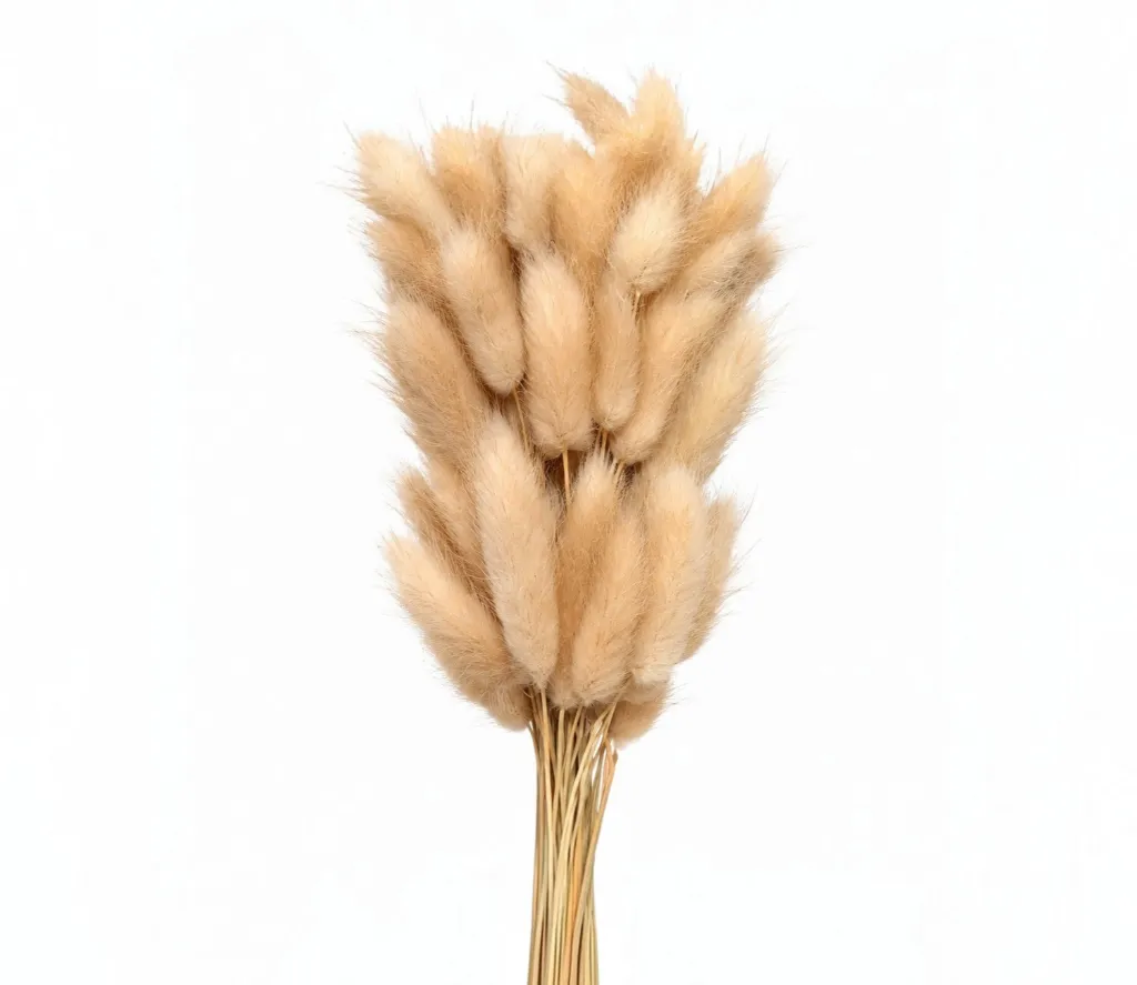 f65b25c1-7a86-4b67-ab20-16b6ae4b93ac (1)-resized-resized.webp