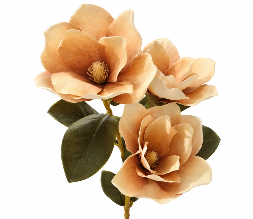 Artificial Magnolia Spray on White.webp