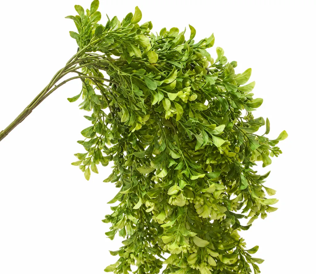 Cascading Green Hanging Foliage.webp