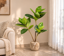 Warm Minimalist Living Room Plant.png