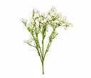 Delicate Baby’s Breath Bouquet on White.webp