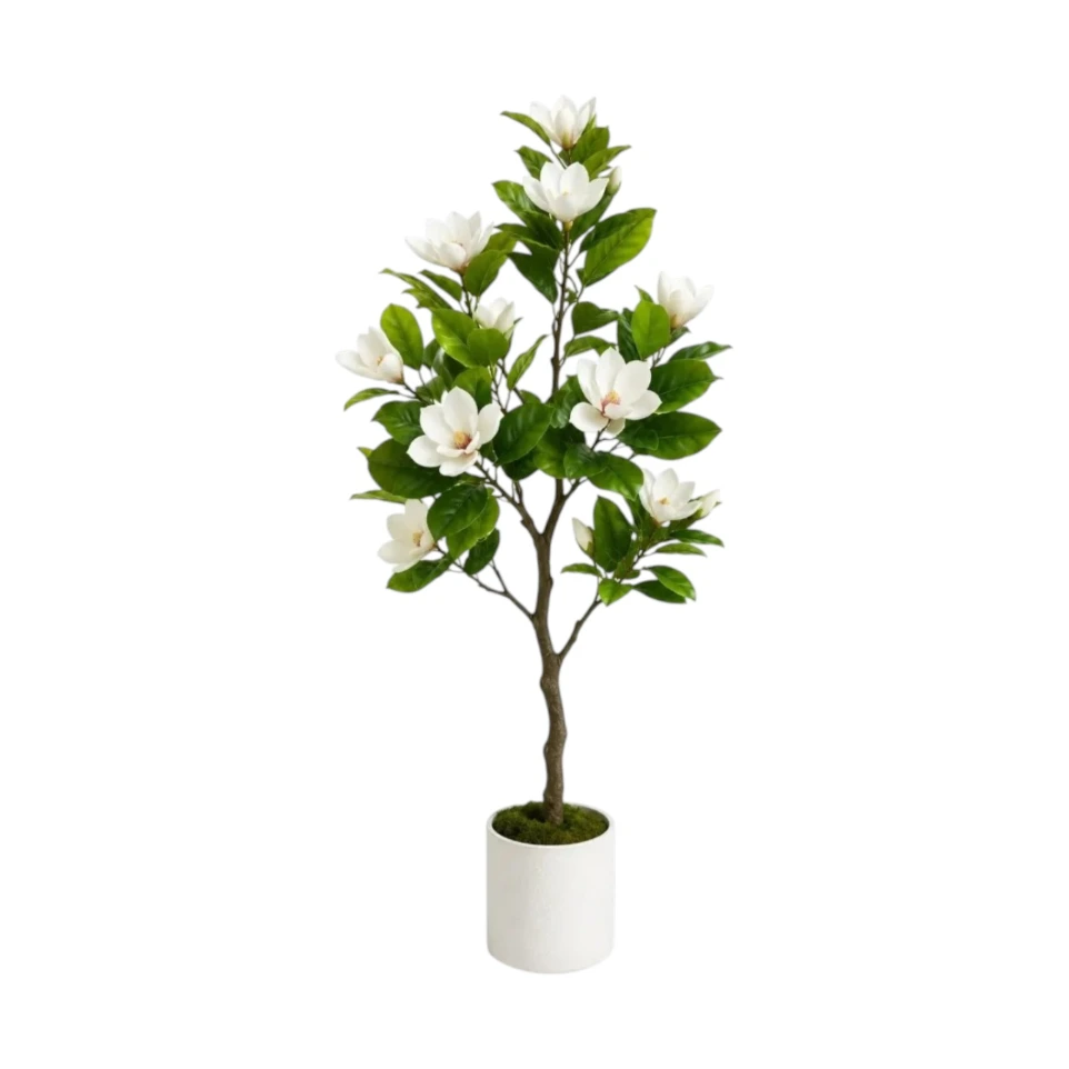 Magnolia tree with small roses