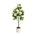 Magnolia tree with small roses