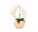 تنسيقة سابا