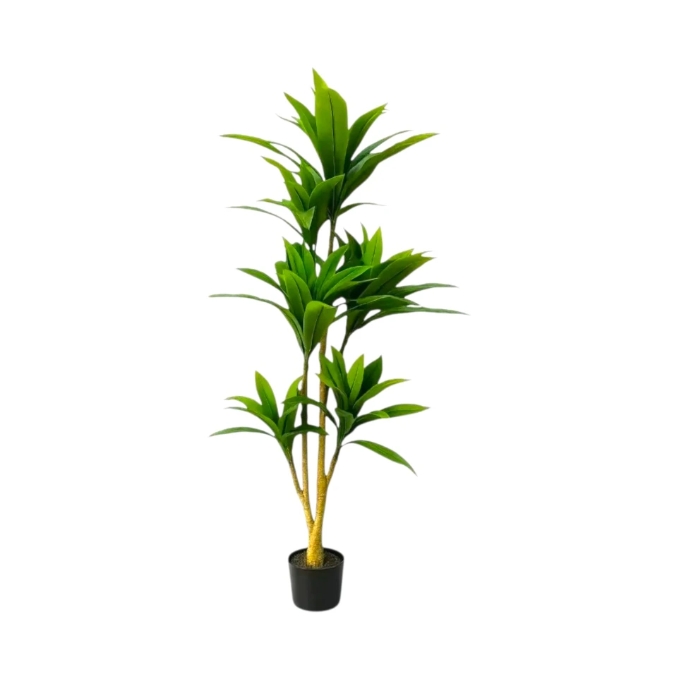 [50-5  بدون قوار وحجار] شجرة دراسينا اصطناعية (170 CM)