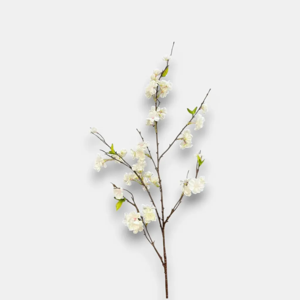 [KX240138] عرق كرز