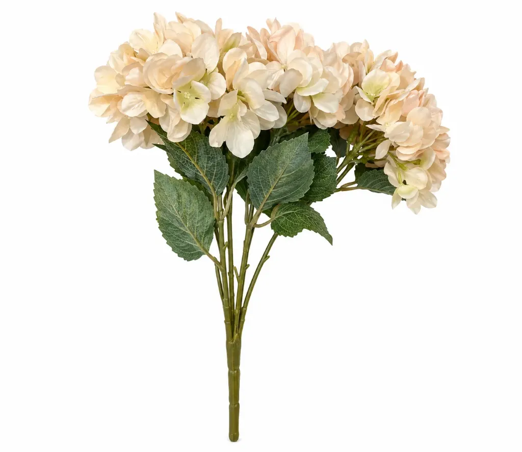 ضمة ورد قرطاسيا