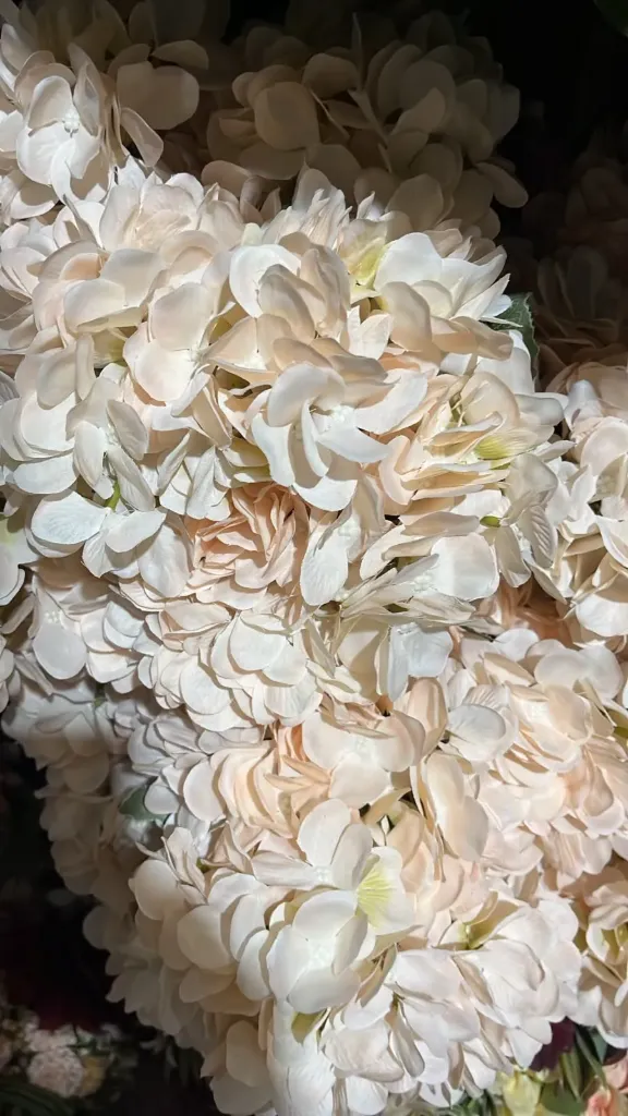 ضمة ورد قرطاسيا