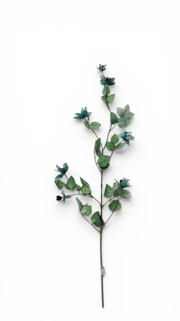 [عرق وردة الكليماتس] Clematis flower