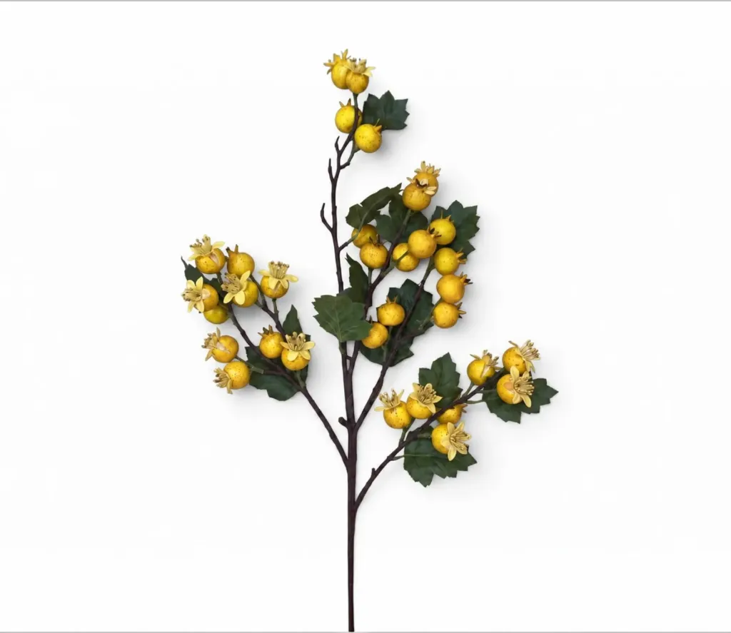 عرق الزعرور الاصفر 