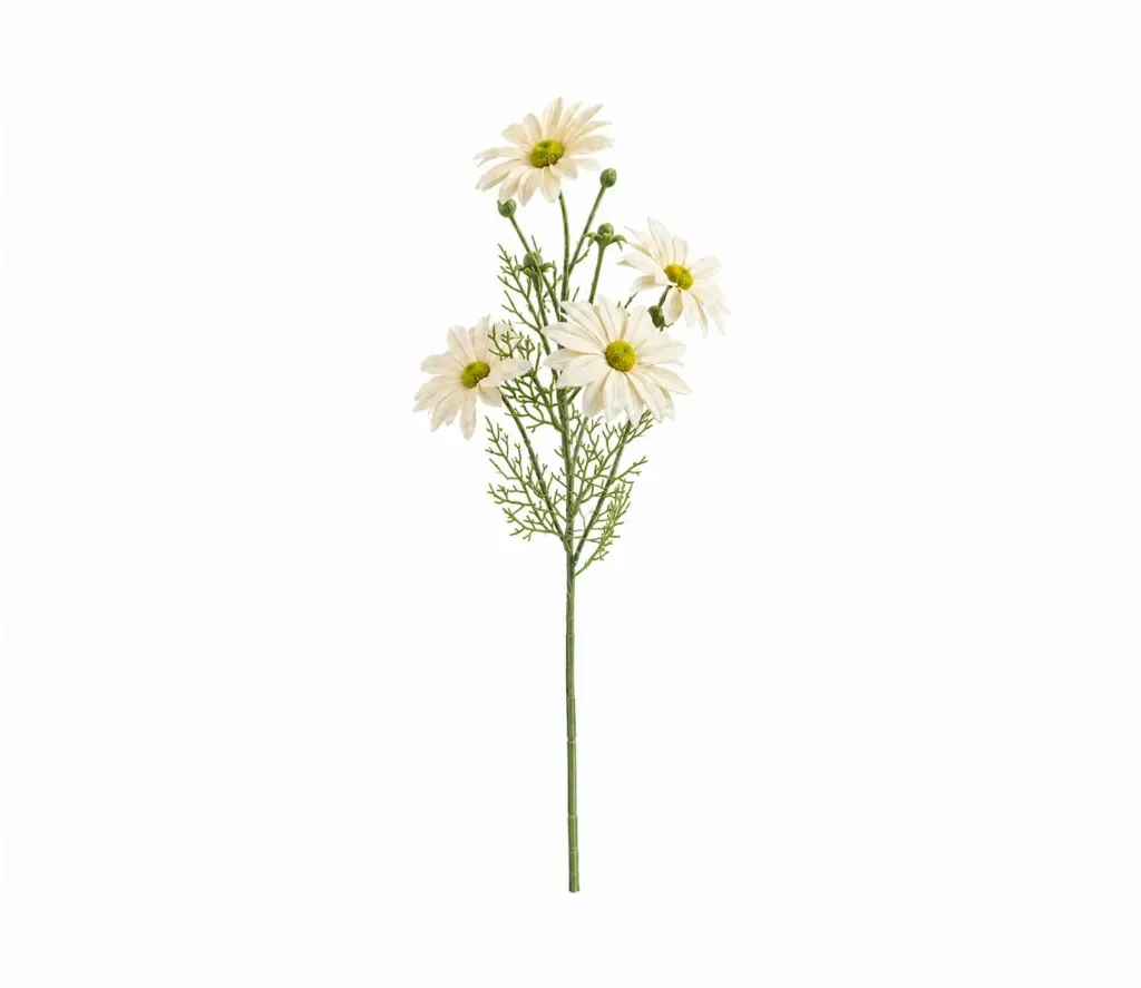 [عرق ورد جلبيرا لون بيج] Gelbera rose (Beige)