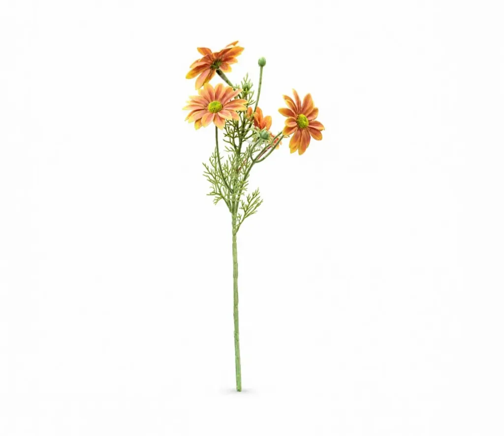 Gelbera rose