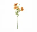 Gelbera rose
