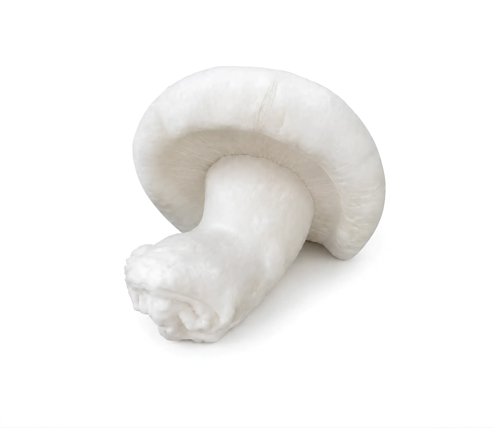 POLYRESIN DECORATION LUMINAIRES