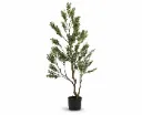 Plastic Olive Tree