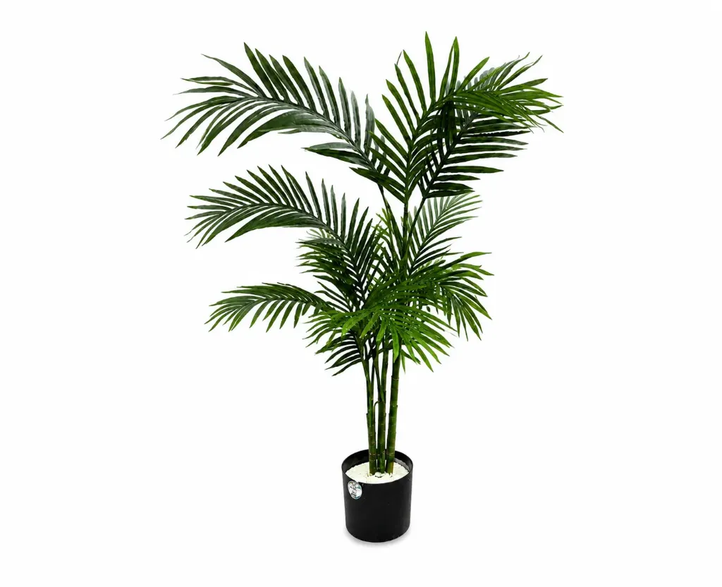 Erica tree