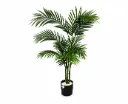 Erica tree