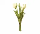Five  Headed  tulips
