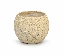 FLOWER POTS