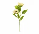 Three-Headed Sunflower