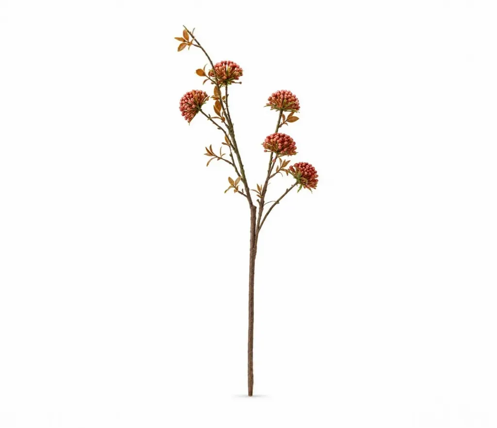 Pomegranate Berry Stems