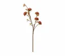 Pomegranate Berry Stems