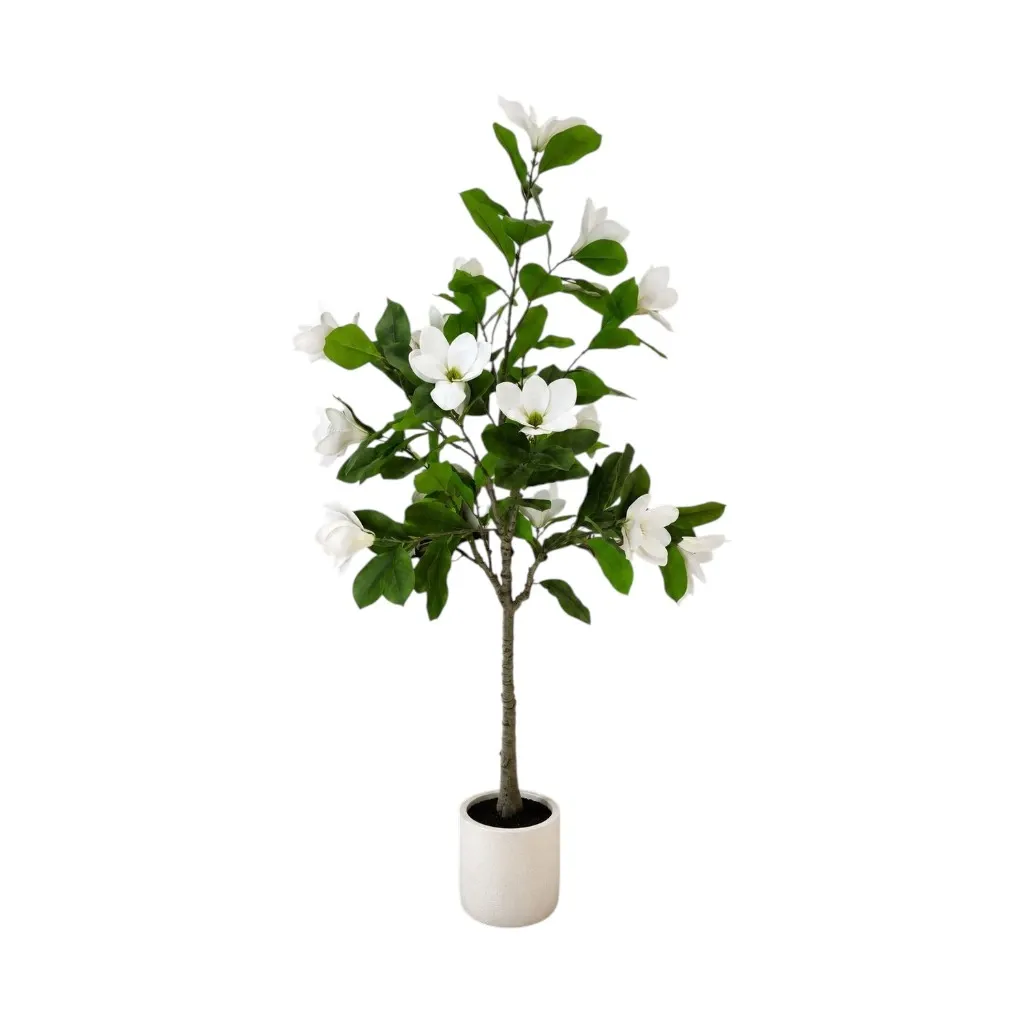 [39-11 120cm شجر الماغنوليا]  شجر الماغنوليا مع ورق (120 CM)