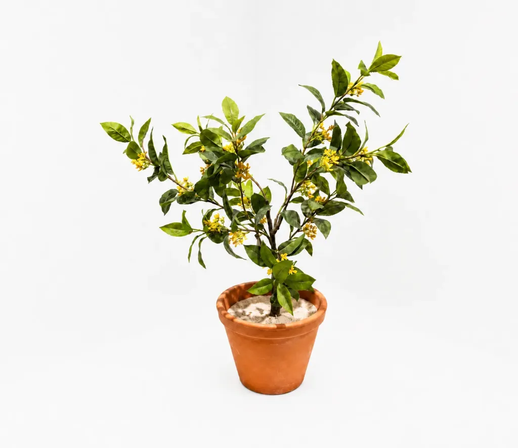 [23_27 ليمون اصفر عرق بلاستيك] Small Lemon Tree (Orange)
