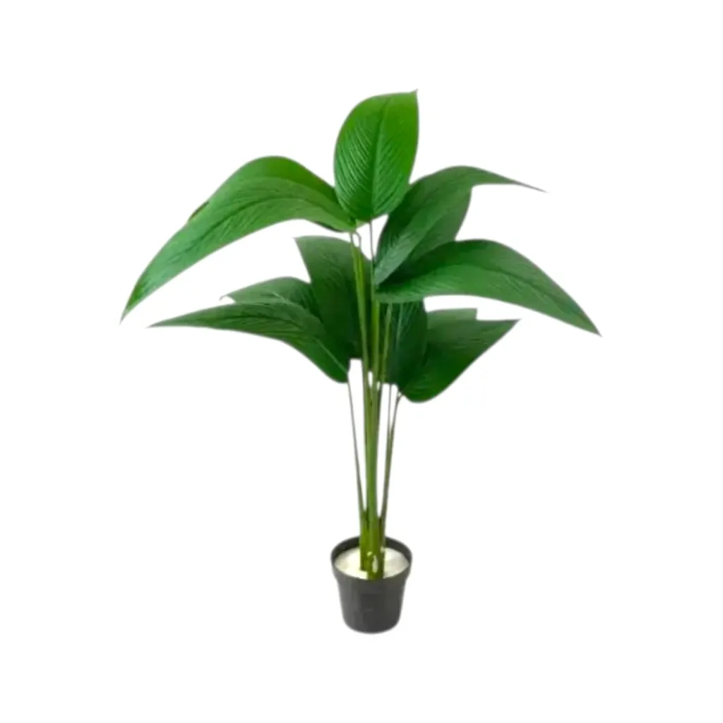 [23_3 شجرة لسان عصفور خشن صغير] شجرة لسان عصفور خشن  (Small)