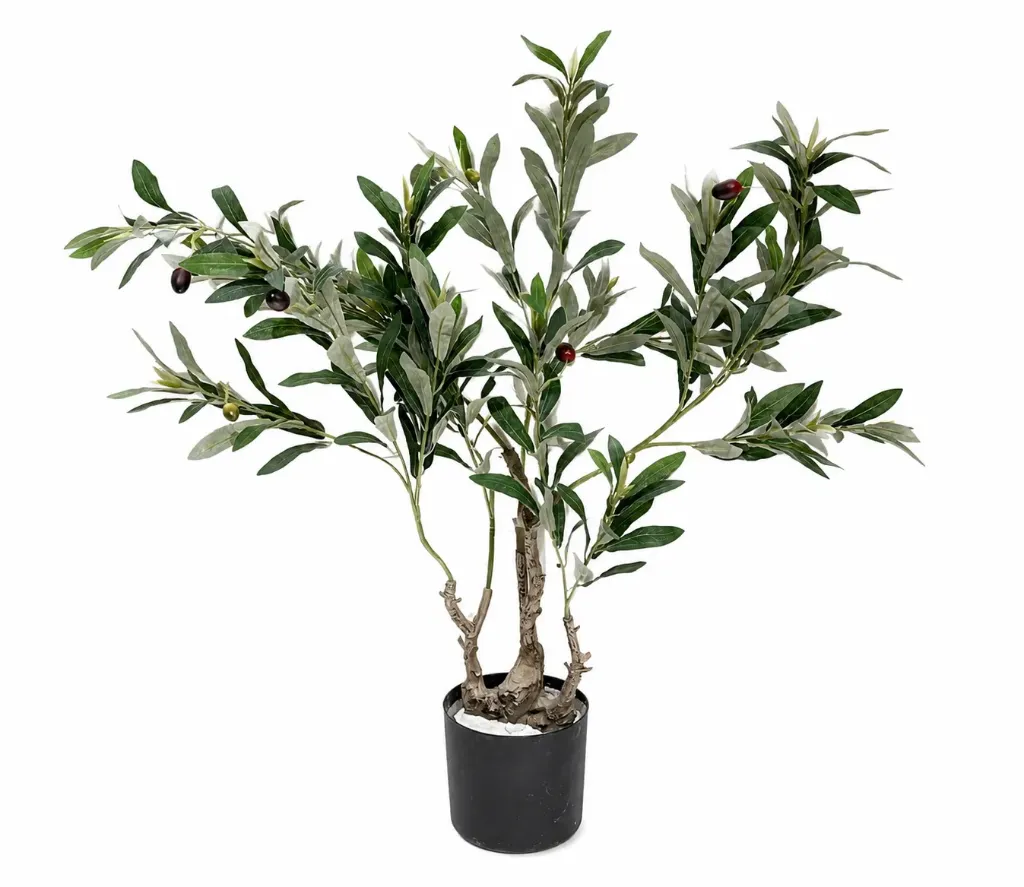 [JWT3480 شجرة زيتون اصغر حجم] شجرة زيتون خشب طبيعي (85 CM)